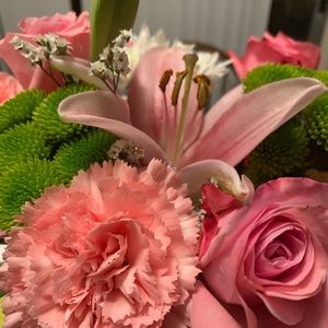 Meet your Posher, Jamie